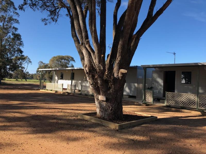 Peppermint Grove Beach Holiday Park Capel Exteriör bild